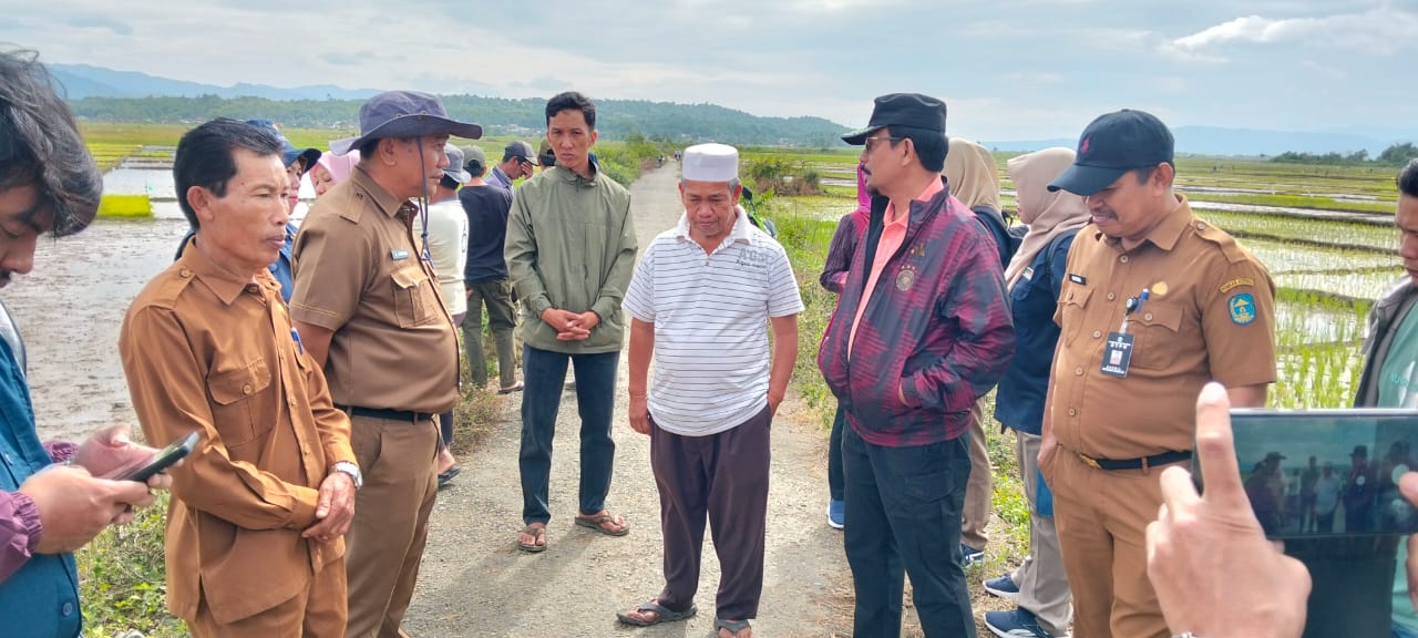 Kunjungan Direktur Jenderal Tanaman Pangan Kementerian Pertanian